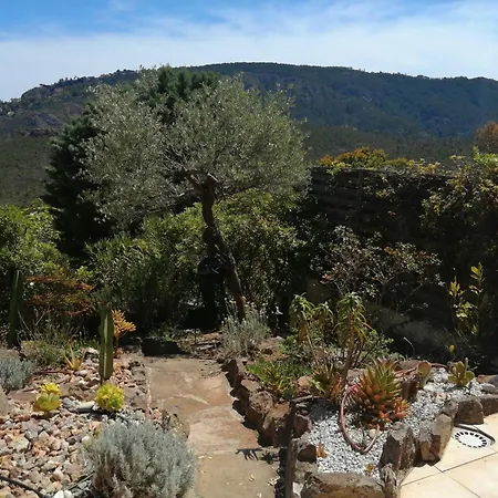 Appartement Le Jasmin Mandelieu